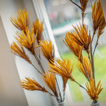 Witthues - Domizil Strandlaeufer - Exklusiv, Strand- Und Zentrumsnah *
